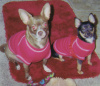 SEBEE & TEBEE